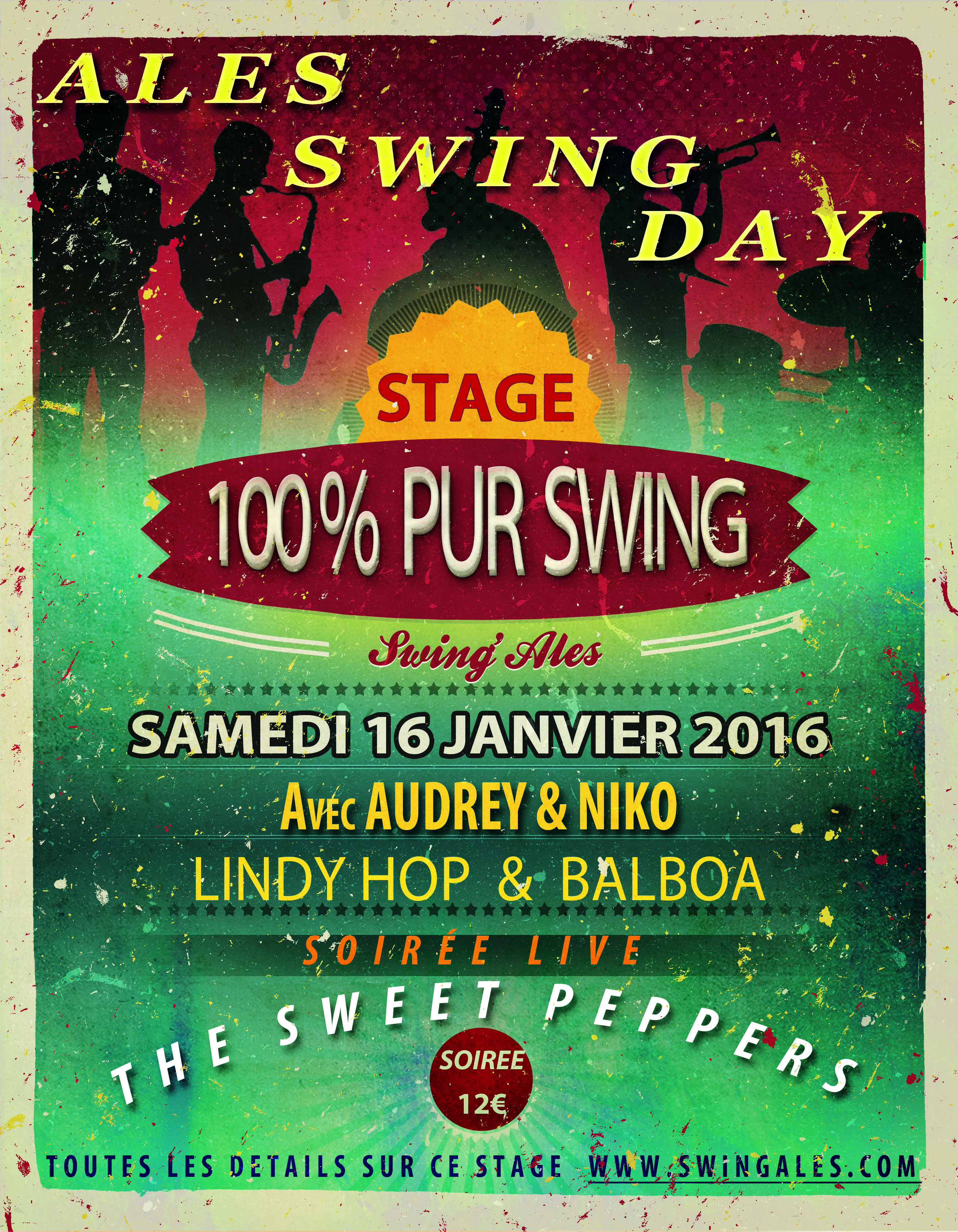 Ales Swing Day  1 er Stage 100 % Pur Swing à Ales