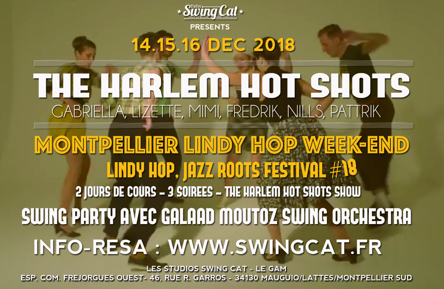 18 eme Montpellier Lindy Hop Week-end