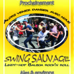 Swings Sauvages