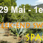 Week-end Swing'n Swim 9 eme édition - Spain -